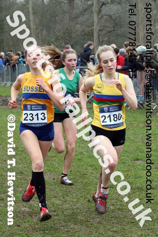 Womens under-17s Inter Counties Cross Country, Prestwold Hall, Loughborough. Photo: David T. Hewitson/Sports for All Pics